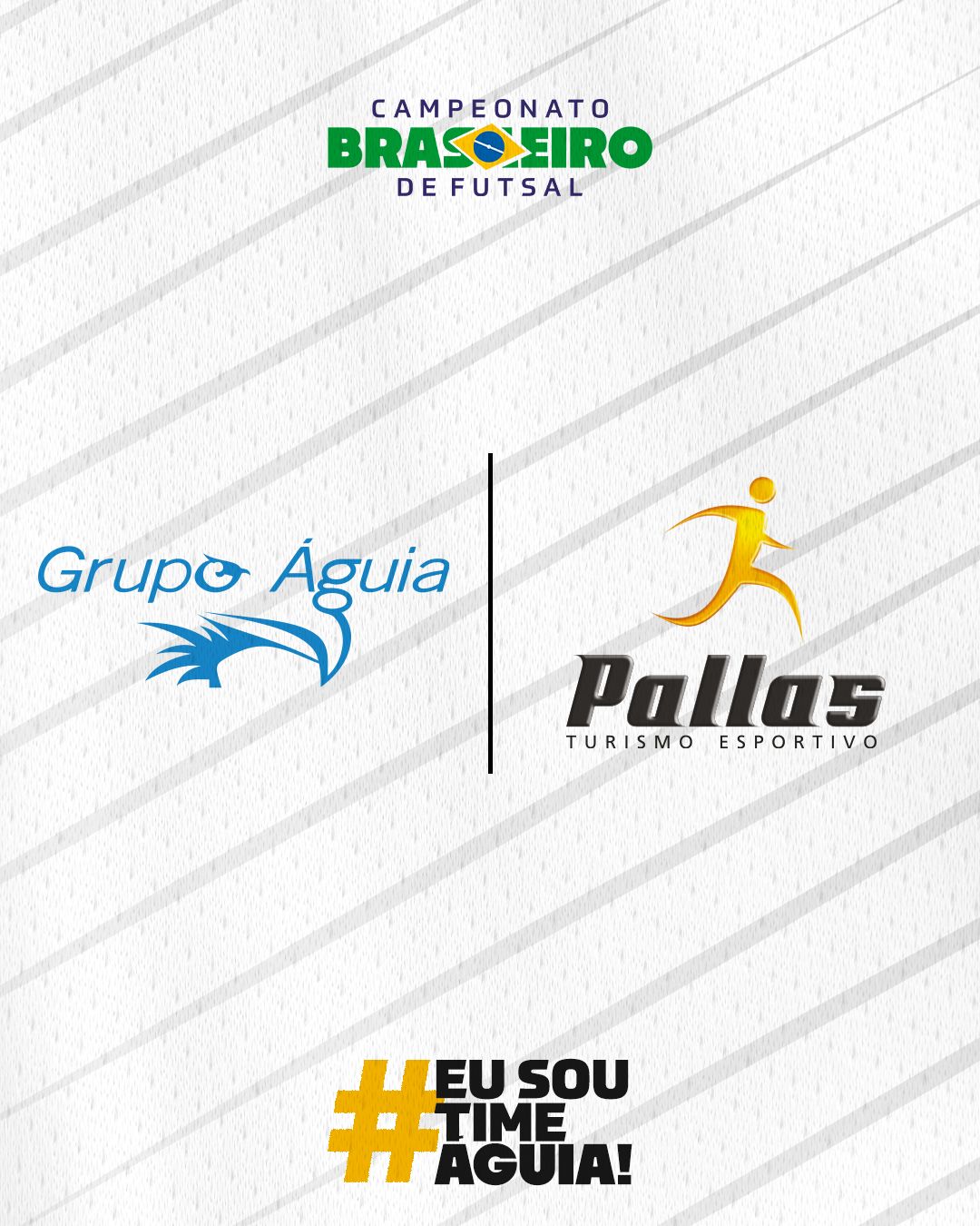Pallas, uma empresa do Grupo Águia: Parceira da CBFS para Logística de Clubes no Brasileiro de Futsal